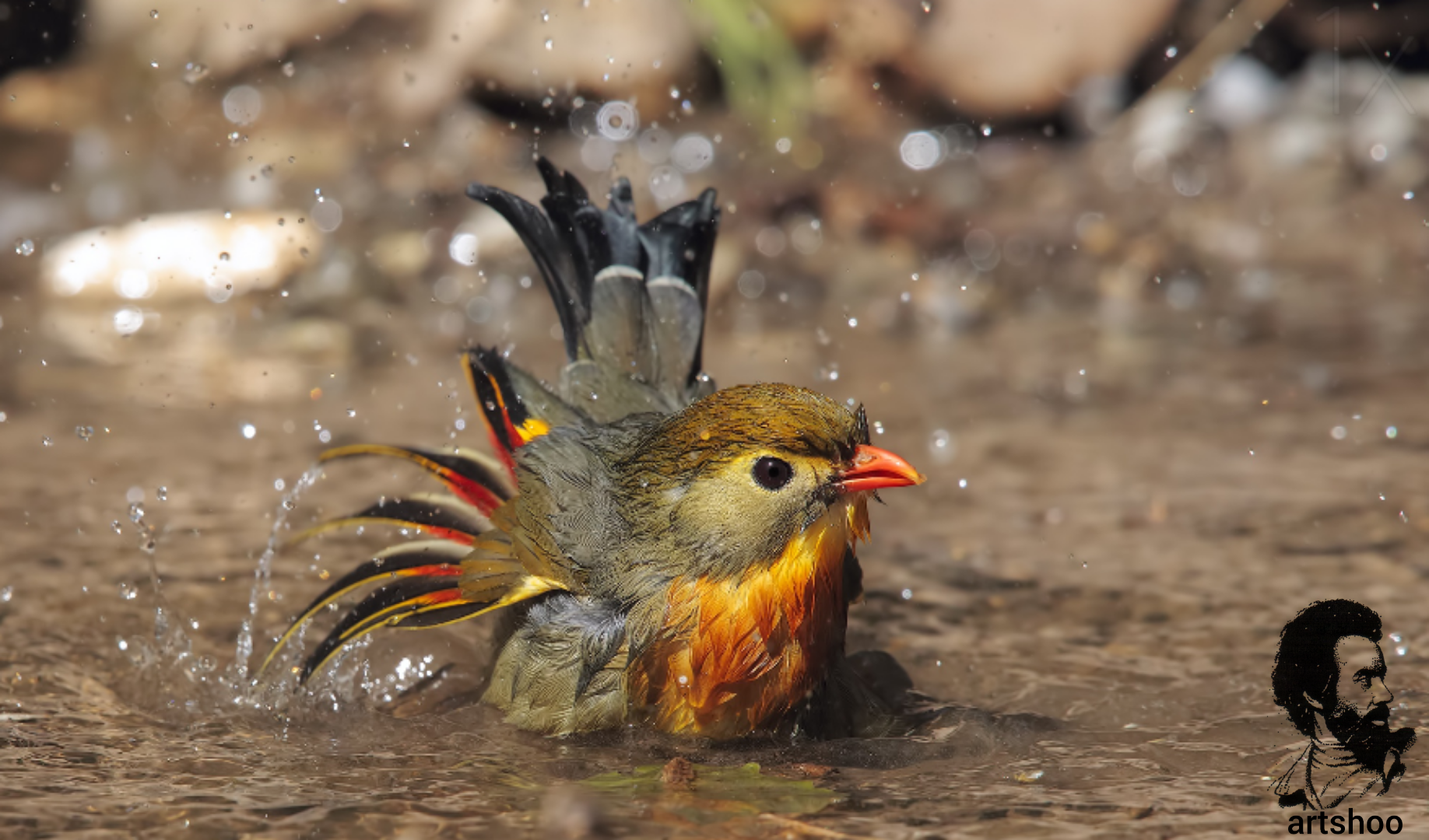 مدل رنگ روغن آب اورژینال